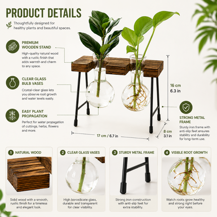 Coslifestore Glass Plant Holder with Wooden Stand (Model A)