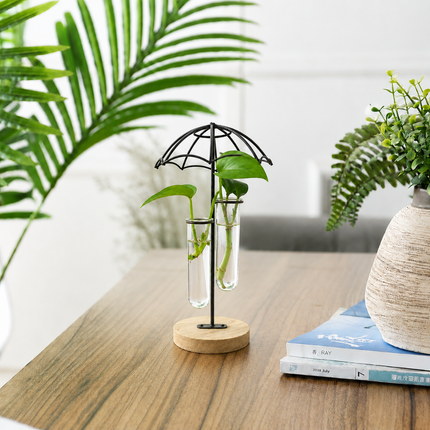 Coslifestore Glass Plant Holder with Wooden Stand(Model B)