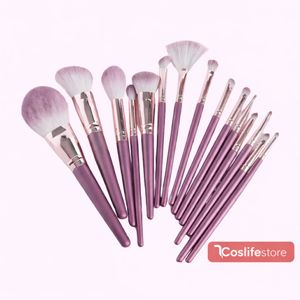 Premium Makeup brushes Pack of 14 with a case