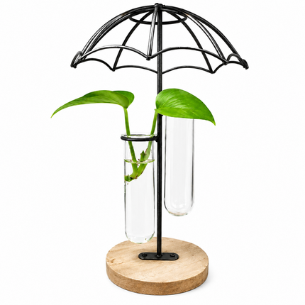 Coslifestore Glass Plant Holder with Wooden Stand(Model B)
