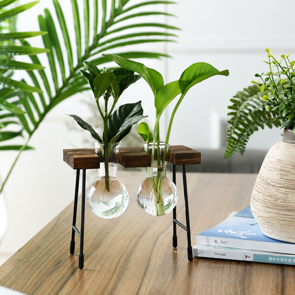 Coslifestore Glass Plant Holder with Wooden Stand (Model A)