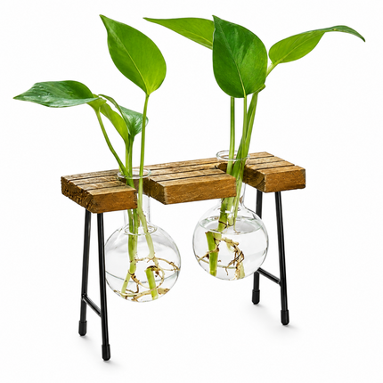 Coslifestore Glass Plant Holder with Wooden Stand (Model A)
