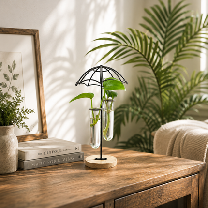 Coslifestore Glass Plant Holder with Wooden Stand(Model B)